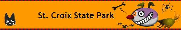 St. Croix State Park            