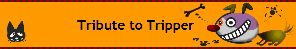 Tribute to Tripper      