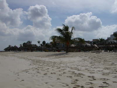 2006-05-May-026