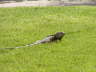 2006-05-May-068