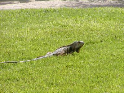 2006-05-May-068