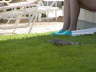 2006-05-May-069