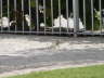 2006-05-May-070