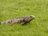 2006-05-May-071
