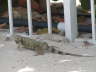2006-05-May-072