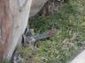 2006-05-May-075
