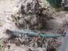 2006-05-May-076