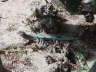 2006-05-May-077