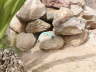 2006-05-May-078
