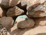 2006-05-May-079