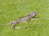 2006-05-May-081
