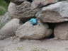 2006-05-May-082