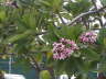 2006-05-May-085