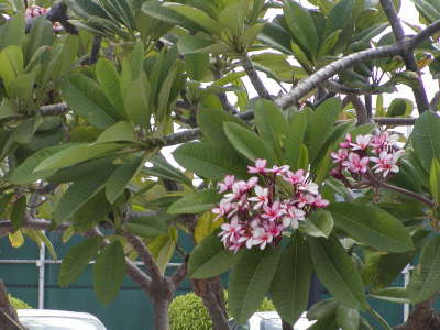 2006-05-May-085