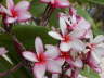 2006-05-May-086