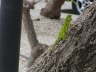 2006-05-May-088