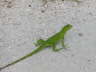 2006-05-May-089
