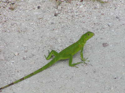 2006-05-May-089