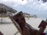 2006-05-May-091