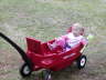 2006-08-Aug-31012