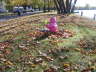 2006-09-Sept-30-010