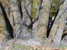 2006-09-Sept-30-019