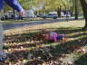 2006-09-Sept-30-031