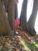 2006-09-Sept-30-041