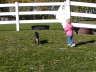 2006-09-Sept-30-049