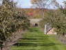 2006-09-Sept-30-060