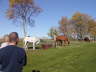 2006-09-Sept-30-061