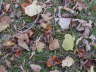 2006-09-Sept-30-068
