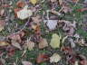 2006-09-Sept-30-069