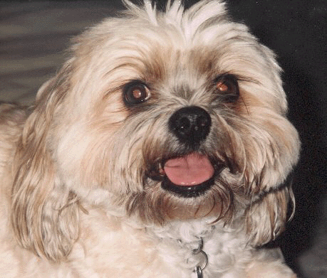 Placeholder  Image